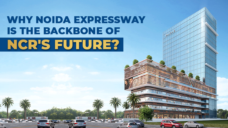 Why Noida Expressway is the Backbone of NCR's Future?	